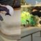 Just Perfect Tricks (Skateboarding Tricks, Fun Moments, Fails & Wins)