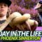 A Day in the Life w/ Phoenix Sinnerton! Screaming Vlog 86 | Santa Cruz Skateboards