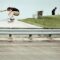 adidas Skateboarding /// Southeast Tour – Raw Recap